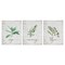 Stupell Industries Charming Summer Kitchen Herbs 3pc Canvas Wall Art Set Design by Lettered and Lined